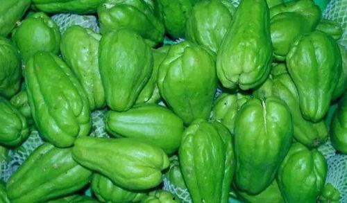 吃瓜智慧看点官网