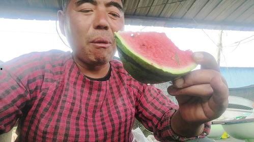 甘肃网红老头吃瓜视频,一场接地气的网络盛宴