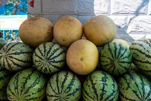 全国免费吃瓜网,畅享海量资讯，轻松解锁快乐生活