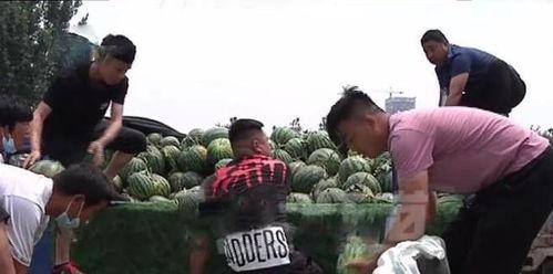 成县吃瓜网红事件真相揭秘