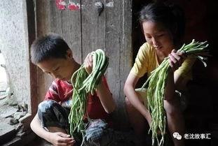 江西姐弟网红吃瓜视频播放,揭秘网络红人背后的故事