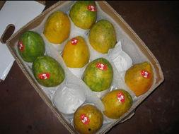 台湾网红吃瓜,幕后故事与热门话题盘点