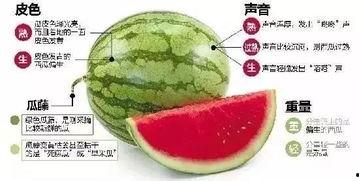 八卦网红吃瓜微信,揭秘娱乐圈幕后真相