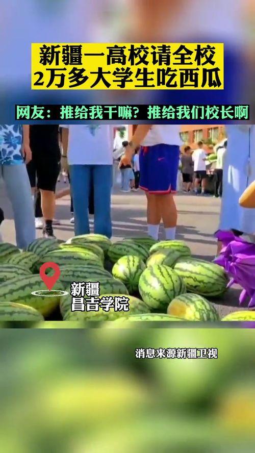 校网吃瓜,揭秘校网吃瓜背后的故事